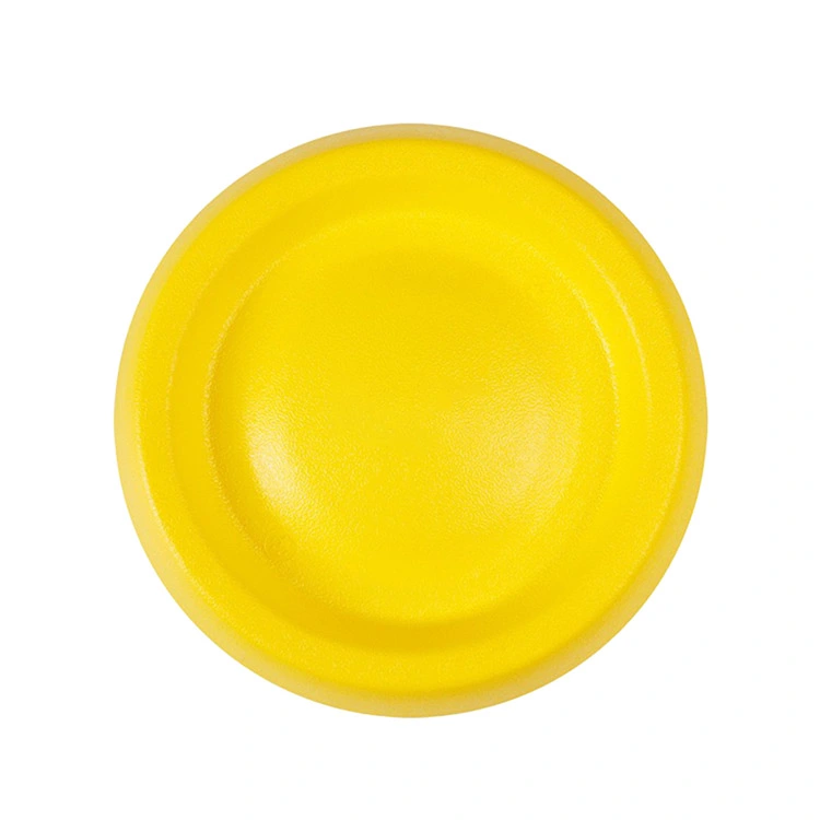 Ce face ca EVA Pet Frisbee să fie cea mai bună alegere pentru jocul cu câini sigur, durabil și distractiv